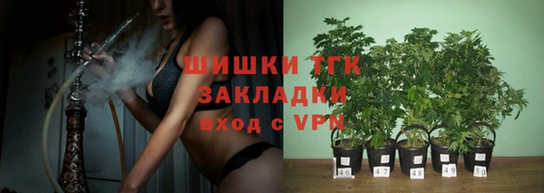 apvp Аркадак