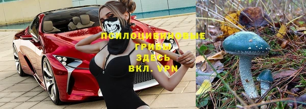 apvp Аркадак