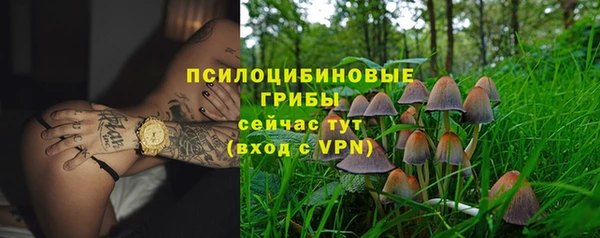 apvp Аркадак