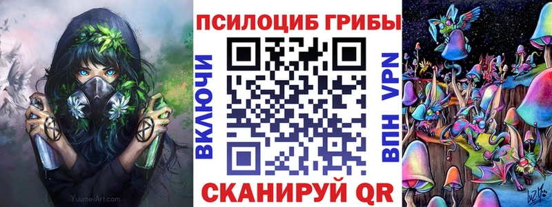 сайты даркнета Telegram  гидра ONION  Заинск  Галлюциногенные грибы Cubensis 